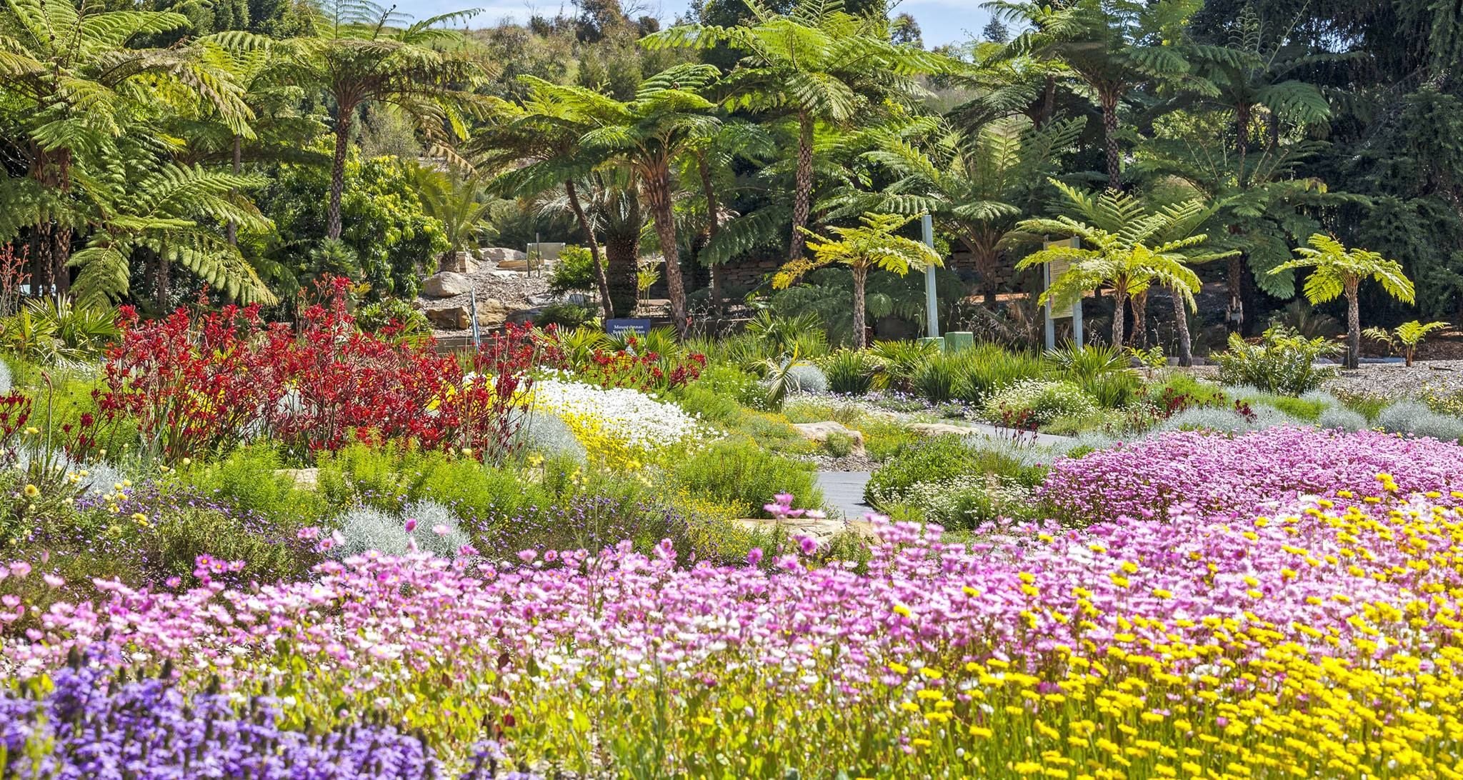 Connect Coaches Garden Tours Image -62b99209afbcd